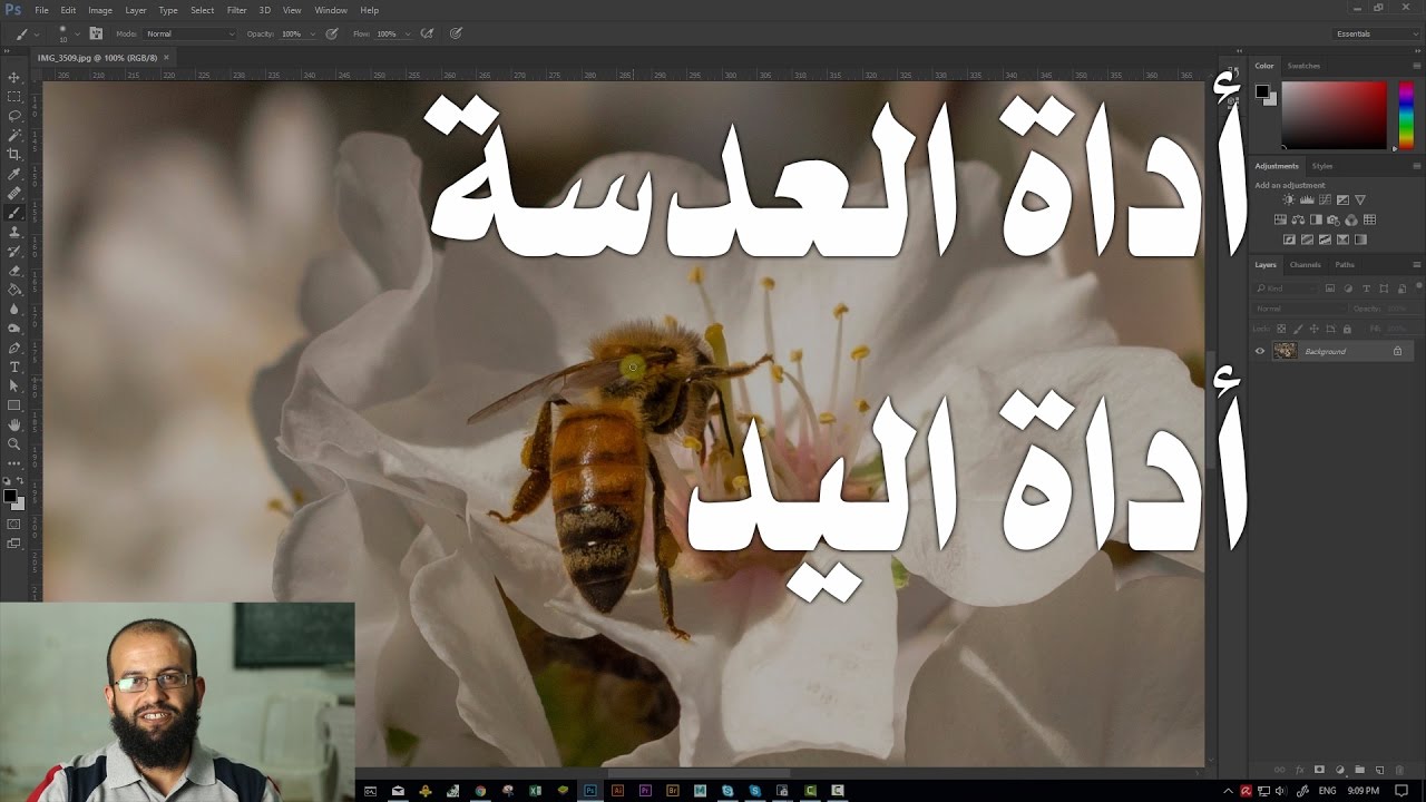 3.16 فوتوشوب - أداة العدسة وأداة اليد zoom tool, hand tool