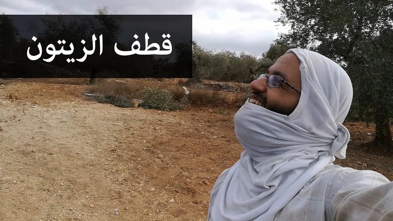فلوق تجريبي، لم أكن أنوي وضعه على القناة - من قطف الزيتون في فلسطين
