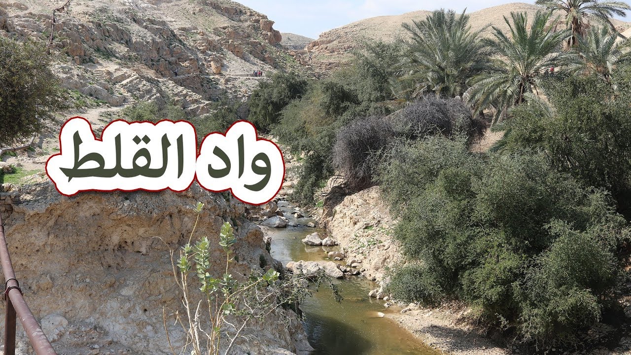 فلوق من  وادي القلط بالقرب من مدينة أريحا wadi alqilt near Jericho
