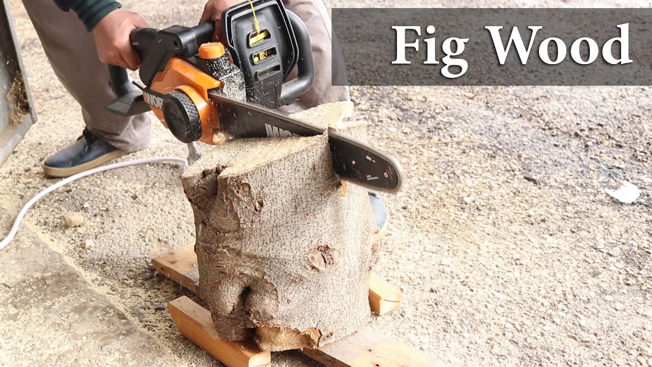 how Fig Wood grain looks like? green Fig  wood fibers