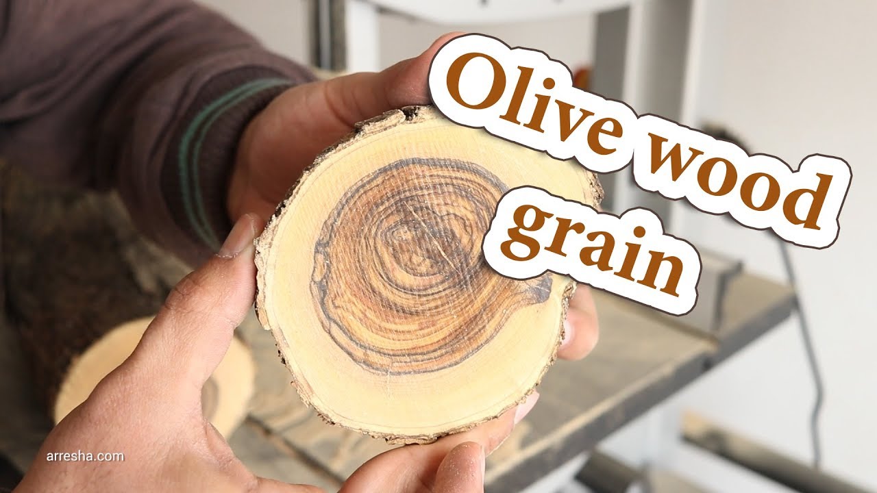 how olive wood grain looks like? fresh untreated unmanufactured olive wood fibers