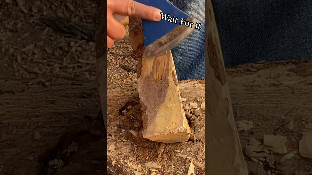 removing olive wood bark - wait for it #short